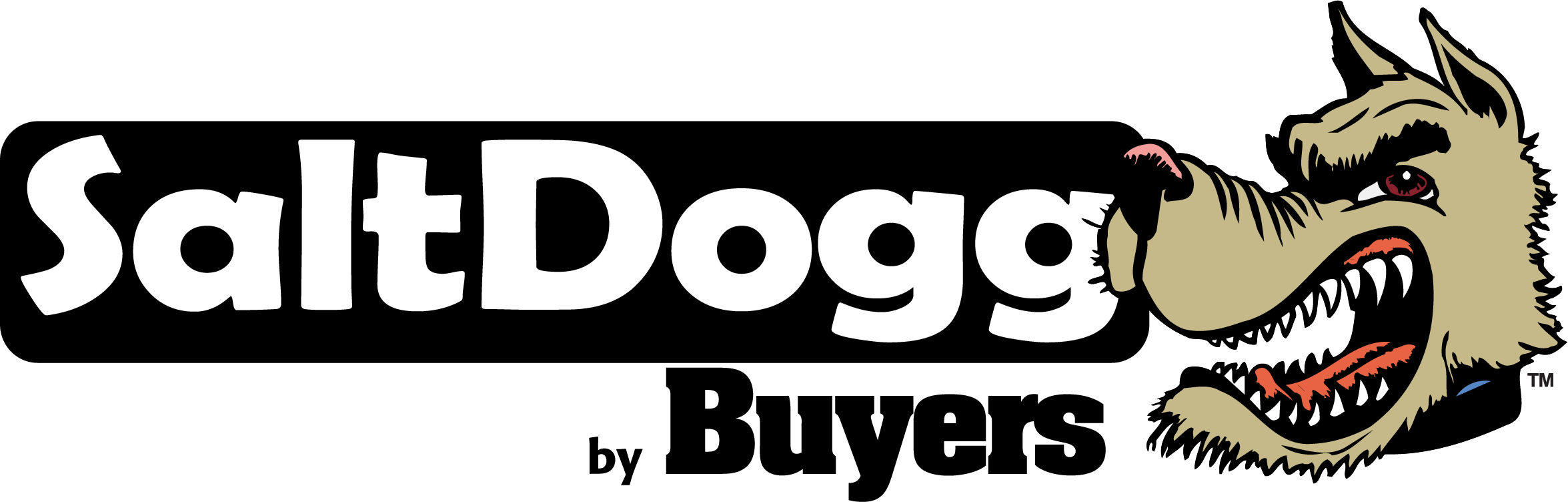 2018-SaltDogg-BW-Color-Dogg (2)-min